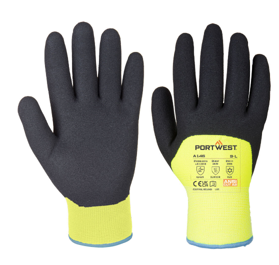 A146- Arctic Winter Gloves